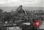Image of German armor Soviet Union, 1941, second 16 stock footage video 65675061171