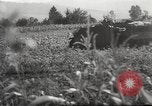 Image of German armor Soviet Union, 1941, second 21 stock footage video 65675061171