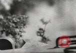 Image of German armor Soviet Union, 1941, second 51 stock footage video 65675061171