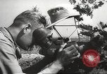 Image of Hitler Youth Republic of San Marino, 1944, second 24 stock footage video 65675061172
