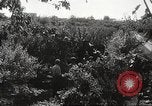 Image of Hitler Youth Republic of San Marino, 1944, second 43 stock footage video 65675061172