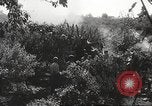 Image of Hitler Youth Republic of San Marino, 1944, second 49 stock footage video 65675061172