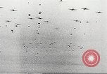 Image of scattered Allied equipment Netherlands, 1944, second 10 stock footage video 65675061173
