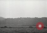 Image of scattered Allied equipment Netherlands, 1944, second 54 stock footage video 65675061173