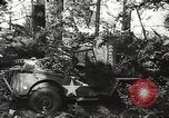 Image of Allied prisoners of war Netherlands, 1944, second 4 stock footage video 65675061174