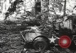 Image of Allied prisoners of war Netherlands, 1944, second 5 stock footage video 65675061174