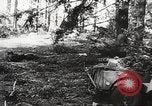 Image of Allied prisoners of war Netherlands, 1944, second 6 stock footage video 65675061174
