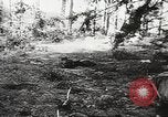 Image of Allied prisoners of war Netherlands, 1944, second 7 stock footage video 65675061174