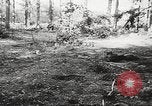 Image of Allied prisoners of war Netherlands, 1944, second 8 stock footage video 65675061174