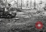 Image of Allied prisoners of war Netherlands, 1944, second 9 stock footage video 65675061174