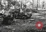 Image of Allied prisoners of war Netherlands, 1944, second 10 stock footage video 65675061174