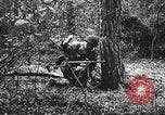 Image of Allied prisoners of war Netherlands, 1944, second 45 stock footage video 65675061174