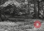 Image of Allied prisoners of war Netherlands, 1944, second 46 stock footage video 65675061174