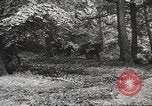 Image of Allied prisoners of war Netherlands, 1944, second 47 stock footage video 65675061174