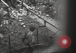 Image of Allied prisoners of war Netherlands, 1944, second 53 stock footage video 65675061174
