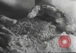 Standbild Hitler Madchen Deutschland, 1944, aus Sekunde 11 historischem Filmmaterial Videoclip 65675061189
