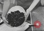Standbild Hitler Madchen Deutschland, 1944, aus Sekunde 37 historischem Filmmaterial Videoclip 65675061189