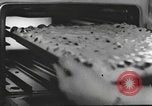 Standbild Hitler Madchen Deutschland, 1944, aus Sekunde 43 historischem Filmmaterial Videoclip 65675061189