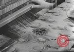 Standbild Hitler Madchen Deutschland, 1944, aus Sekunde 53 historischem Filmmaterial Videoclip 65675061189