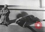 Immagine di Hitler Madchen Germania, 1944, secondo 42 filmato di repertorio 65675061190