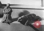 Immagine di Hitler Madchen Germania, 1944, secondo 43 filmato di repertorio 65675061190