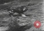 Image Hitler Madchen Allemagne, 1944, de la seconde 20 séquences d'archives historiques vidéo 65675061191