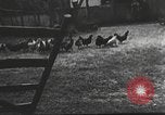 Image Hitler Madchen Allemagne, 1944, de la seconde 24 séquences d'archives historiques vidéo 65675061191
