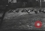 Image Hitler Madchen Allemagne, 1944, de la seconde 26 séquences d'archives historiques vidéo 65675061191