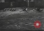 Image Hitler Madchen Allemagne, 1944, de la seconde 27 séquences d'archives historiques vidéo 65675061191