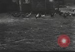 Image Hitler Madchen Allemagne, 1944, de la seconde 28 séquences d'archives historiques vidéo 65675061191