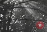 Image Hitler Madchen Allemagne, 1944, de la seconde 4 séquences d'archives historiques vidéo 65675061192