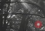 Image Hitler Madchen Allemagne, 1944, de la seconde 5 séquences d'archives historiques vidéo 65675061192