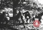 Image Hitler Madchen Allemagne, 1944, de la seconde 8 séquences d'archives historiques vidéo 65675061192