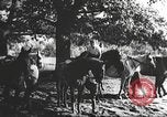 Image Hitler Madchen Allemagne, 1944, de la seconde 10 séquences d'archives historiques vidéo 65675061192
