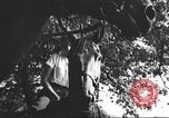 Image Hitler Madchen Allemagne, 1944, de la seconde 12 séquences d'archives historiques vidéo 65675061192