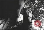 Image Hitler Madchen Allemagne, 1944, de la seconde 14 séquences d'archives historiques vidéo 65675061192