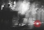 Image Hitler Madchen Allemagne, 1944, de la seconde 38 séquences d'archives historiques vidéo 65675061192