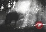 Image Hitler Madchen Allemagne, 1944, de la seconde 39 séquences d'archives historiques vidéo 65675061192