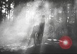 Image Hitler Madchen Allemagne, 1944, de la seconde 41 séquences d'archives historiques vidéo 65675061192
