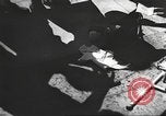 Standbild Hitler Madchen Deutschland, 1944, aus Sekunde 12 historischem Filmmaterial Videoclip 65675061193