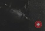 Standbild Hitler Madchen Deutschland, 1944, aus Sekunde 45 historischem Filmmaterial Videoclip 65675061193