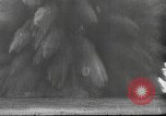Image of German forces repair telephone line Germany, 1944, second 3 stock footage video 65675061207