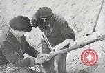 Image of German forces repair telephone line Germany, 1944, second 35 stock footage video 65675061207