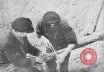 Image of German forces repair telephone line Germany, 1944, second 36 stock footage video 65675061207