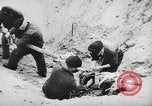 Image of German forces repair telephone line Germany, 1944, second 48 stock footage video 65675061207