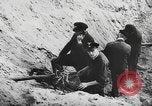 Image of German forces repair telephone line Germany, 1944, second 55 stock footage video 65675061207