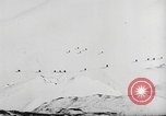 Image of German ski troops France, 1944, second 5 stock footage video 65675061208