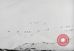 Image of German ski troops France, 1944, second 6 stock footage video 65675061208