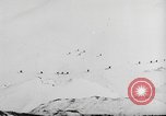 Image of German ski troops France, 1944, second 7 stock footage video 65675061208