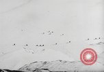 Image of German ski troops France, 1944, second 8 stock footage video 65675061208